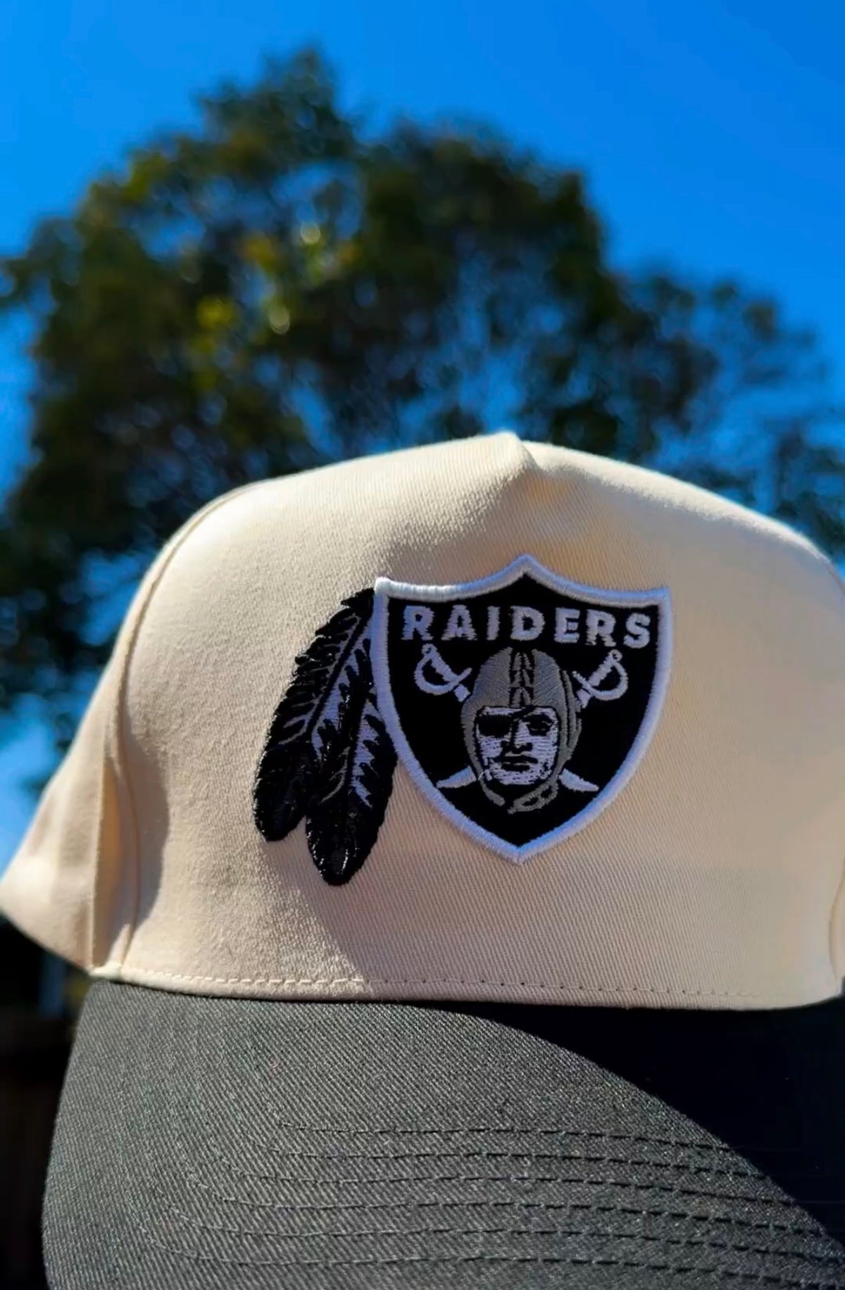 Raiderz Hat